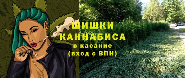 ГАЛЛЮЦИНОГЕННЫЕ ГРИБЫ Балахна