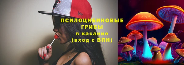 ГАЛЛЮЦИНОГЕННЫЕ ГРИБЫ Балахна