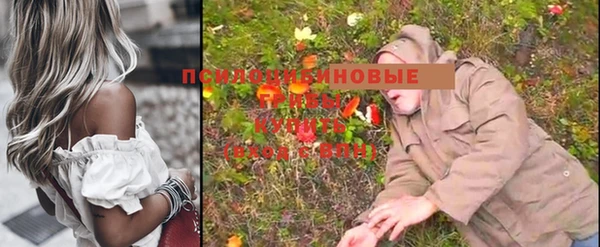 ГАЛЛЮЦИНОГЕННЫЕ ГРИБЫ Балахна