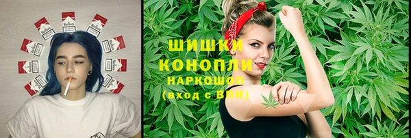 ГАЛЛЮЦИНОГЕННЫЕ ГРИБЫ Балахна