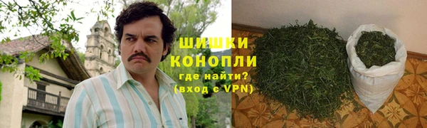 ГАЛЛЮЦИНОГЕННЫЕ ГРИБЫ Балахна